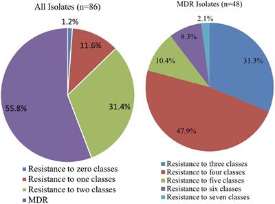 Antibiotic Resistance Patterns of Pseudomonas spp. Isolated From Raw Milk Revealed by Whole Genome Sequencing